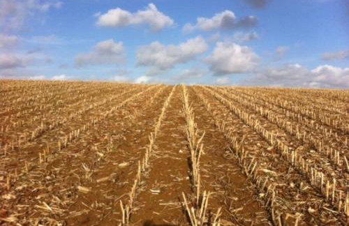 Blackthorn is a luxurious, rural retreat for two. - Foto 19