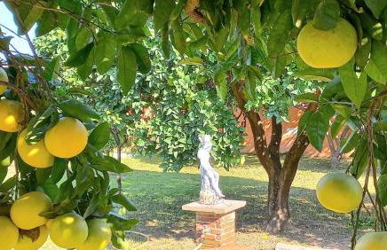 Da Ninnilla Holiday Home Scafati - Foto 4