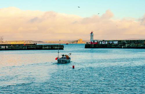 Sea Shanty Cottage - Photo 15