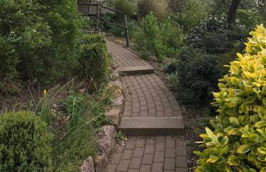 Schlupfwinkel - Foto 18