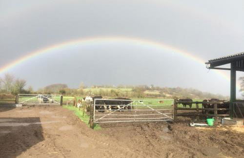 Rew Farm Country & Equestrian Accommodation - Sunrise Lodge - Foto 63
