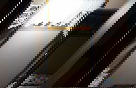 Woodland Gardens - Photo 18