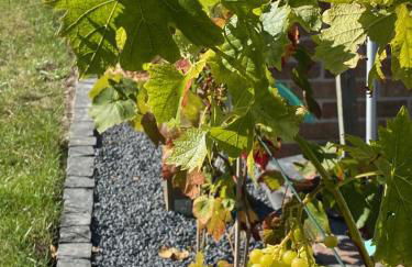 Gästehaus Roggenhorst - aufwändig saniertes Haus, 200 qm Wohnfläche, 3 Bäder - Foto 5