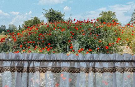 Kraina Poraj - Foto 35