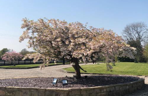 The Saddlery Cheshire - Photo 26