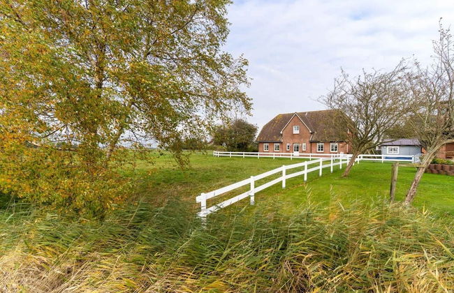 Ferienwohnungen, Tonning - Foto 1