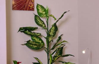 B&B Pozzilli - Foto 21