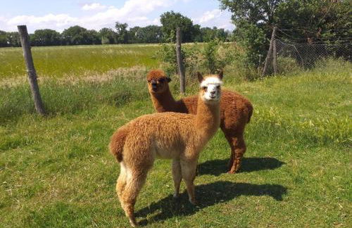 Apartment Ein Urlaub im Grünen by Interhome - Foto 39