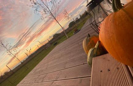 Brzozowisko Zalewo - Foto 13