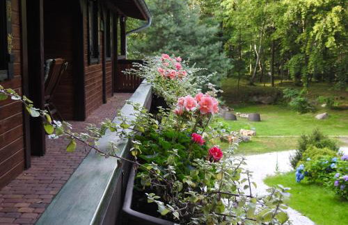 Za Siódmą Górą - Foto 10