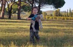 L'Odyssée provençale, un duplex de charme de 2 chambres au pied du village médiéval de Bormes-les-Mimosas, offrant des prestations haut de gamme et une superbe vue sur le Massif des Maures - Foto 51