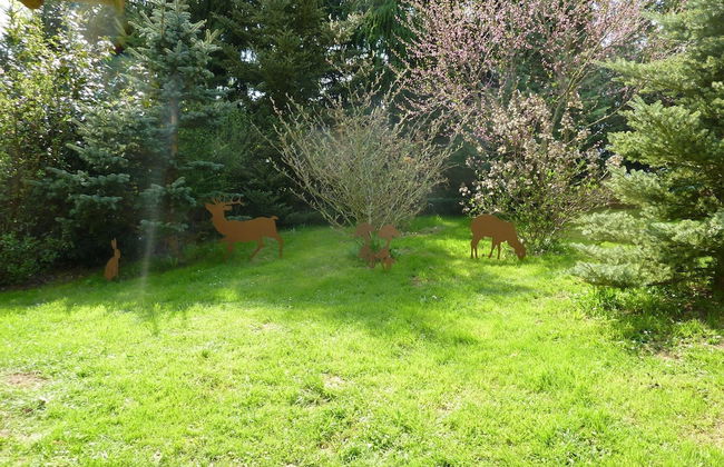 Birkenhof - Photo 14