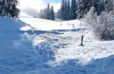 Cahute de montagne - Foto 10