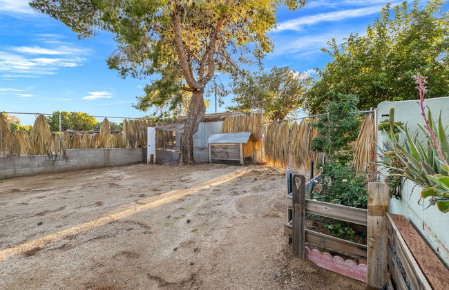 The Juniper - Foto 42