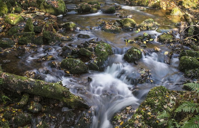 Dollar Apartments at 39 - Photo 39