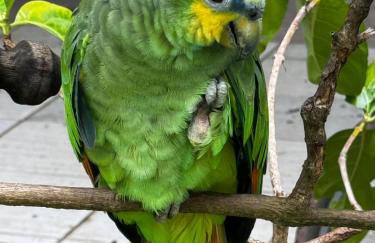 Sitio ecológico para eventos - Photo 7