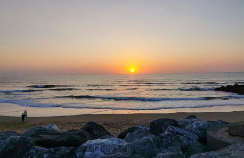 jeu de paume - Foto 14