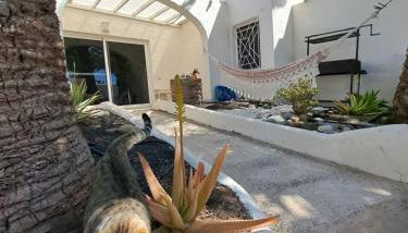 Palm Point - Photo 4