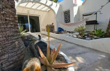 Palm Point - Photo 4