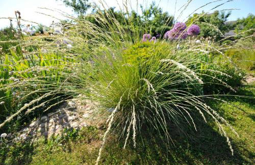 Ferienwohnungen im Fischerdorf und - Foto 7