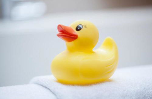 Bergesgrün - Photo 38