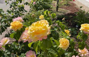 HORAMI Villa - ORIGAMI Apartment mit Terrasse - Foto 14