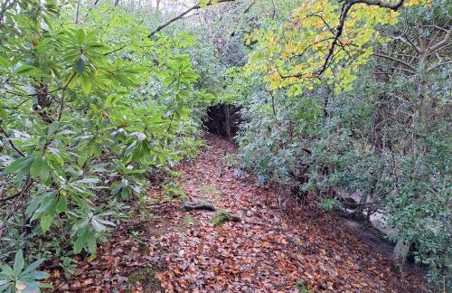 Ryan's Cottage - Photo 78