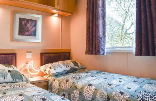 Bryn Bychan - Foto 13