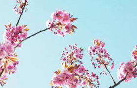 Residenza Al SoGno - on Lake Garda - Foto 36