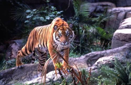 Long Term Stays Allowed Pet Friendly & Pool - Foto 53