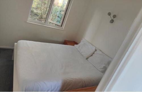 52 strawberry - Foto 14