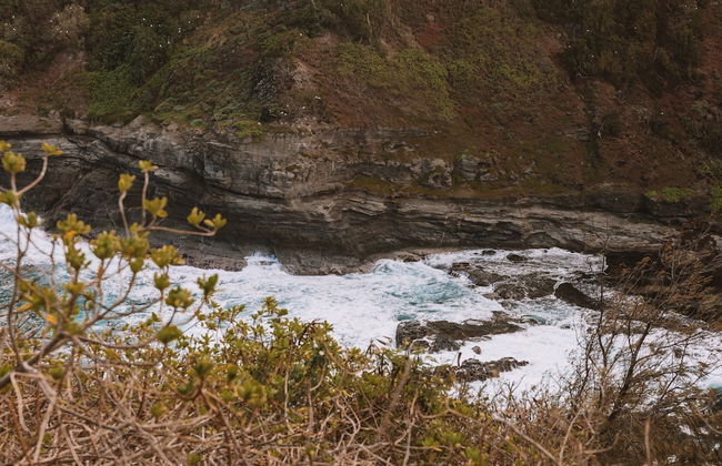 Kauai Plantation Hale Hotel - Foto 100