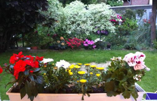 Traumhaftes Apartment in Mönchengladbach Ohler - Foto 12