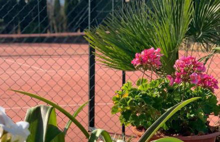 Torcales del Lobo Apartamentos Rurales - Foto 24