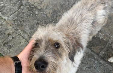 Alloggio da Fazanca - Foto 27