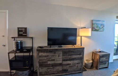 Cute Cedar Lodge Studio with Balcony & Lake Views! - Foto 9