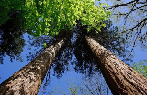 Chalet in Wendorf - Photo 26