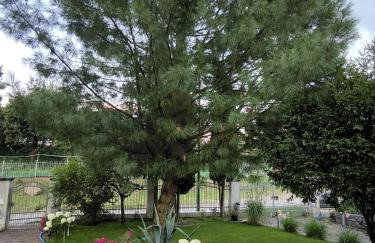 Pogodne Wzgórze - Foto 57