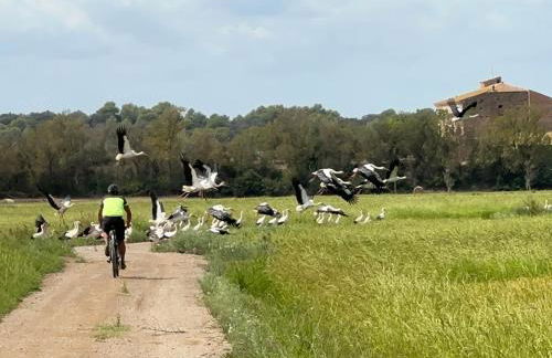 Pals primera Linea de Mar - Foto 65