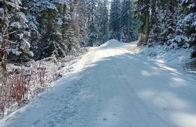 Ferienwohnung Haus Finkbeiner - Foto 26