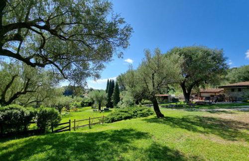 Pie' d'Ulivo - Foto 62