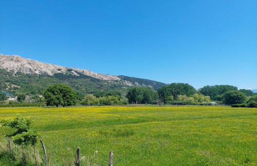 Apartment Marija-2 by Interhome - Photo 29