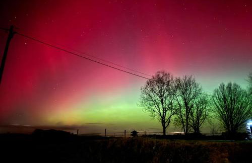 Cosy Rural Barn with Private Garden & Forest - The Cart Barn - Foto 40