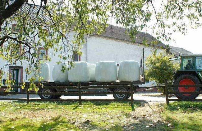 Bernis Ferienhaus - Foto 16