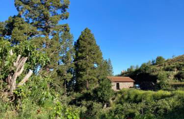 Bodega Linda - Foto 1