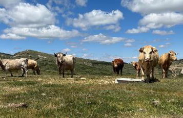 Casa ELENA i MARTA , Valdelinares - Foto 45