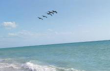 Manasota Delux Villas #9 - Foto 6