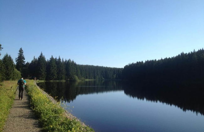 Adorable Aparment in Wildemann With Parking - Foto 80