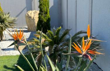 Casa Leiras - Foto 15