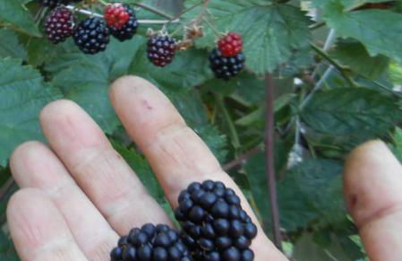 South Lake House - 300m to South Lake Leisure Centre - Foto 56